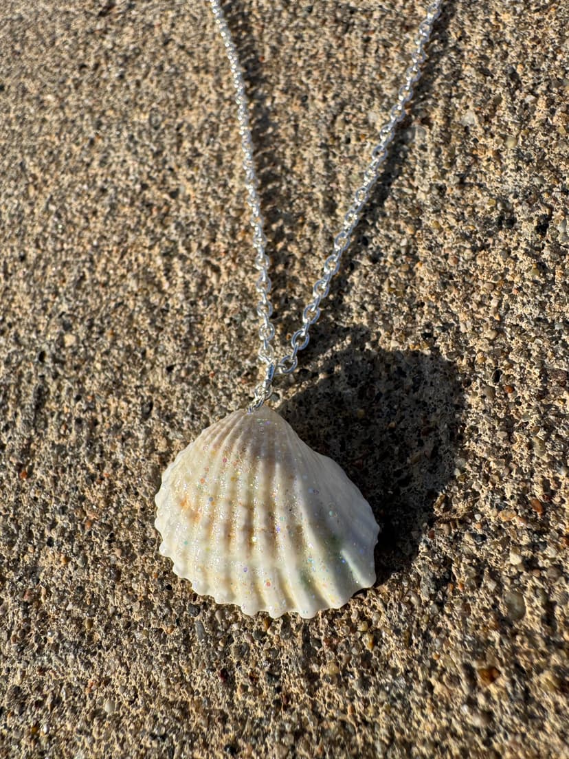 Seashell piece